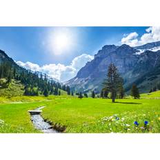 Union Rustic Beautiful Swiss Mountains In Springtime