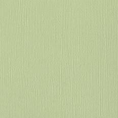 American Crafts Bazzill Mono Cardstock 12"X12"-Aloe Vera/Canvas