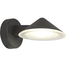 Dakota Fields Tansel Grey Wall light