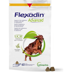 Flexadin Advanced UC-II Joint Supplement Chews for Dogs 1 Pack