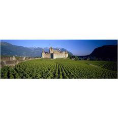 Ebern Designs Vineyard In Front Of A Castle, Aigle Castle, Musee De La Vigne Et Du