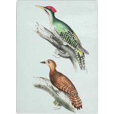 East Urban Home Woodpecker Illustrations Chopping Board 39cm