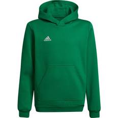 Adidas Kid's Entrada 22 Hoodies - Green