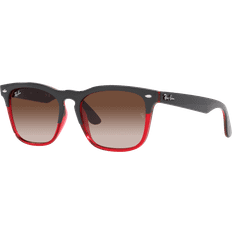 Ray-Ban Steve RB4487 663113