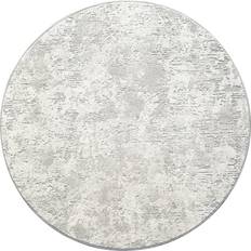 Williston Forge Canyon Abstract Modern Circle 52023 6484 Grey