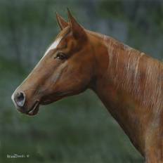 Gracie Oaks Quarter Horse