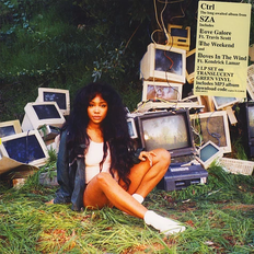 Ctrl [2LP] (Vinyl)