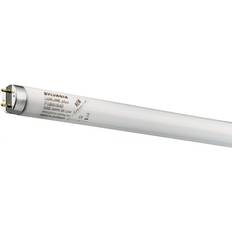 Sylvania Luxline Fluorescent Lamp 18W G13