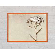 Ophelia & Co Floral Beauty Sepia Einzelner Bilderrahmen Kunstdrucke