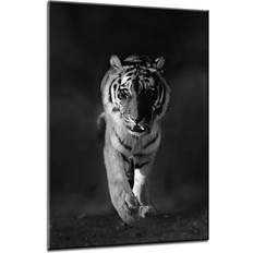 Bloomsbury Glasspik Tiere Photograph Print on Framed Art 70x100cm