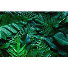 17 Stories Monstera Leaf and Palms Background Jittrong Wrapped