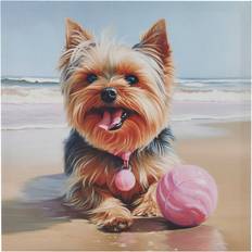 Madison Park Beach Dogs Yorkie