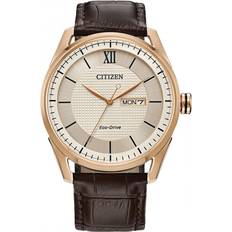 Citizen Eco-Drive (AW0082-01A)