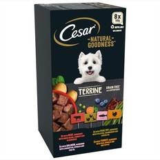 Cesar Natural Goodness Terrine 100g