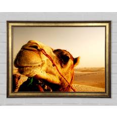 Gracie Oaks Camel Smile Single Picture Prints