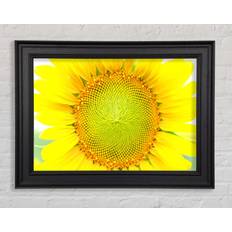 Sommerallee Dear Summer Single Picture Frame Prints