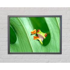 17 Stories Frog Single Picture Frame Art Prints on Canvas