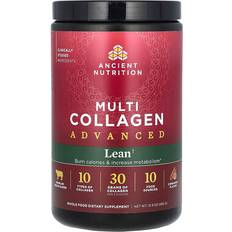 Ancient Nutrition Multi Collagen Advanced Powder Lean Cinnamon 450g