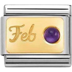 Amethyst Charms & Pendants Nomination Composable Classic February Link Charm - Silver/Gold/Amethyst
