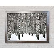 Union Rustic Birch Trees In The Snow Print