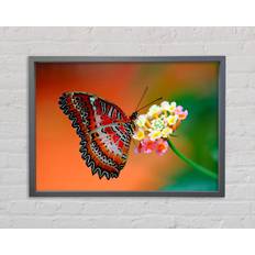 Sommerallee Colourful Butterfly Rests Picture Frame Prints on