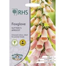 RHS Mr.Fothergill's Grow Your Own Foxglove Sutton's Apricot