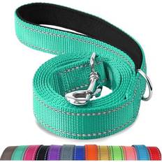 JOYTALE Joytale Double-Sided Reflective Dog Leash, 6