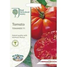 RHS Mr.Fothergill's Home Grown Vegetable Tomato Tomande F1 Seeds