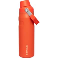 Stanley Water Containers Stanley 24 oz. AeroLight IceFlow Bottle with Fast Flow Lid, Tigerlily