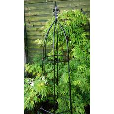 Poppy Forge Gothic 6Ft Obelisk Bare Plant