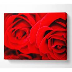 Red Framed Art Wallart-Direct Rose Close-Up Twins Canvas Print Framed Art