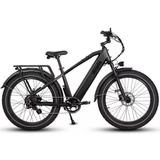 Dirwin Pioneer Fat Tire Electric Bike Unisex