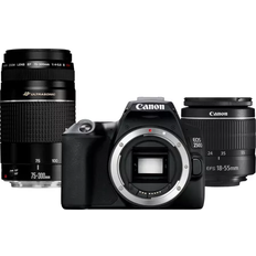 EF-S 18-55mm f/3.5-5.6 III DSLR Cameras Canon EOS 250D + 18-55mm III + 75-300mm III