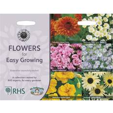 RHS Growing Seed Variety Grow Your Own Garden Flowers Mr