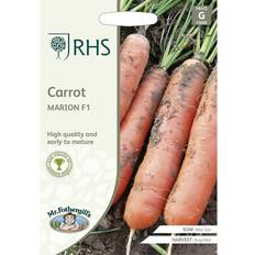 RHS Mr.Fothergill's Home Grown Carrot Marion F1 Packet