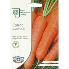 RHS Home Grown Vegetable Carrot Maestro F1 Seeds Packet