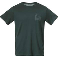 Bergans of Norway Herren Rabot Mount Wool T-Shirt gruen