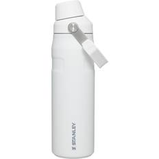 Stanley Water Containers Stanley IceFlow Fast Flow Bottle 24oz Polar