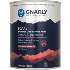 Gnarly BCAA Pre and Mid Workout Supplement 300g