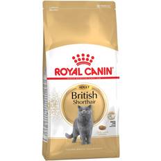 Royal Canin Cat Food - Cats Pets Royal Canin British Shorthair Adult