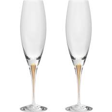 Orrefors Intermezzo Champagne Glass 26cl 2pcs