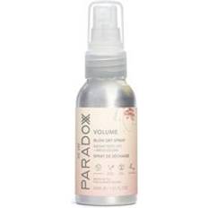 We Are Paradoxx Are Paradoxx Volume Blow Dry Spray