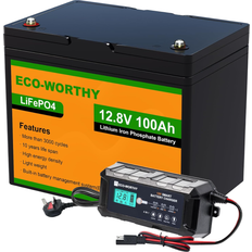 Eco-Worthy LiFePO4 12.8V 100AH 10A