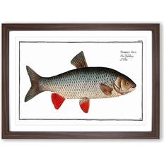 East Urban Home Idus-Carp Fish by M.E. Bloch Painting Walnut Framed Art 50x35cm