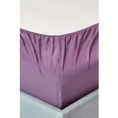 Homescapes Egyptian Cotton Bed Sheet Purple (190x90cm)