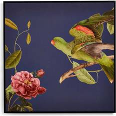 Square Framed Art Parrot Multicolor Framed Art 60x60cm