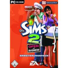 The Sims 2: Open for Business Expansion (PC)