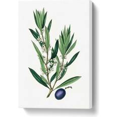 East Urban Home Olive Tree Flowers Illustration White/Green Wall Decor 35.6x50.8cm
