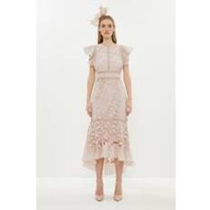 Midi Dresses - XXL Coast Organza Hem And Sleeve Lace Dress Blush