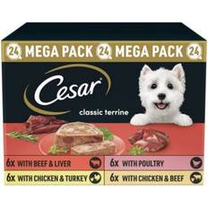 Cesar Adult Wet Dog Food Trays Loaf, 150g